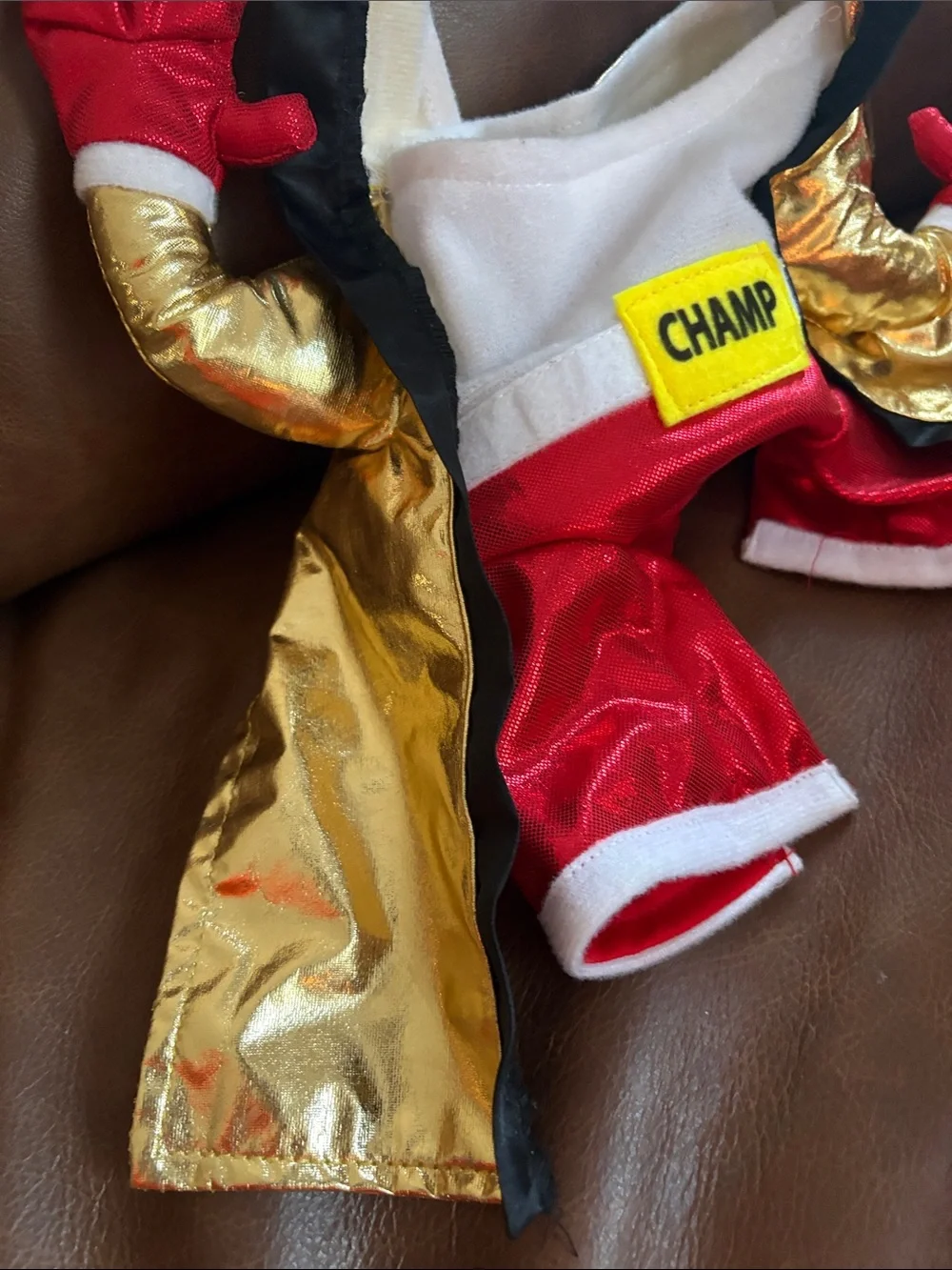 Boxing Champ Frontal dog S Halloween costume